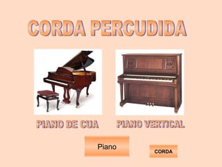 CORDA PERCUDIDA Piano CORDA PIANO DE CUA PIANO VERTICAL 