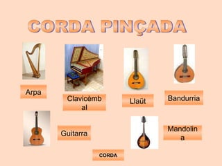 Arpa CORDA CORDA PINÇADA Clavicèmbal Guitarra Mandolina Llaüt Bandurria 
