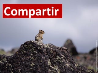 Compartir
https://www.flickr.com/photos/rohitchhiber/6038689637
 