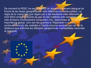 De moment la PESC ha experimentat un desenvolupament desigual en funció de les àrees geogràfiques i dels diferents moments polítics. La regla de la unanimitat que regeix per a les decisions més rellevants fa molt difícil arribar a acords de pes en les matèries més sensibles o que més divisions d'enfocament comporten. Així, assumptes de la màxima importància global, com són les guerres a l'Afganistan o a l'Iraq, continuen avui en dia vedades a l'acció comuna europea per raó de la distància que enfronta les diferents perspectives i sensibilitats nacionals al respecte. FIN   