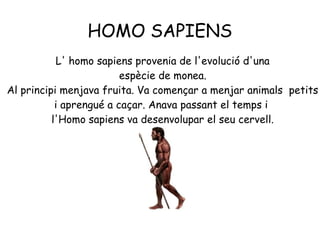HOMO SAPIENS
L' homo sapiens provenia de l'evolució d'una
espècie de monea.
Al principi menjava fruita. Va començar a menjar animals petits
i aprengué a caçar. Anava passant el temps i
l'Homo sapiens va desenvolupar el seu cervell.

 