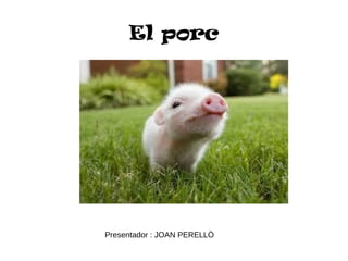 El porc
Presentador : JOAN PERELLÒ
 