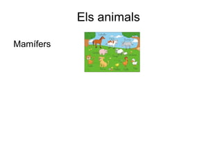 Els animals  ,[object Object]