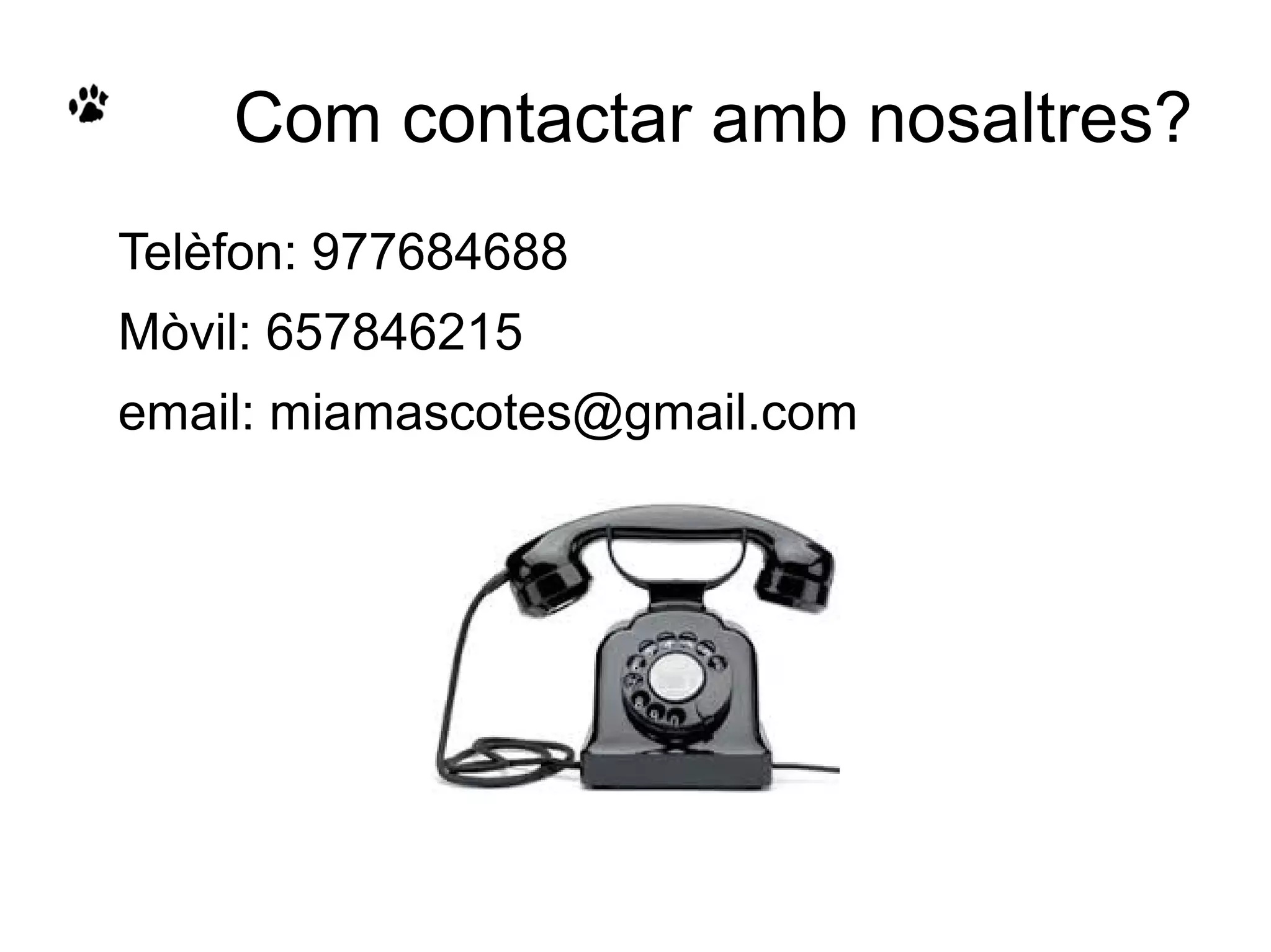 Com contactar amb nosaltres?
Telèfon: 977684688
Mòvil: 657846215
email: miamascotes@gmail.com
 