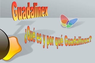 Guadalinex  ¿Qué es y por qué Guadalinex? 