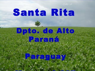 Santa Rita   Dpto. de Alto Paraná  Paraguay Marzo – 2.007 