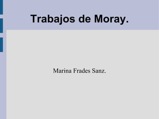 Trabajos de Moray. Marina Frades Sanz. 