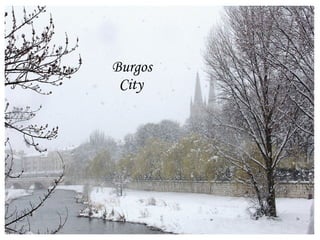 Burgos
 City
 