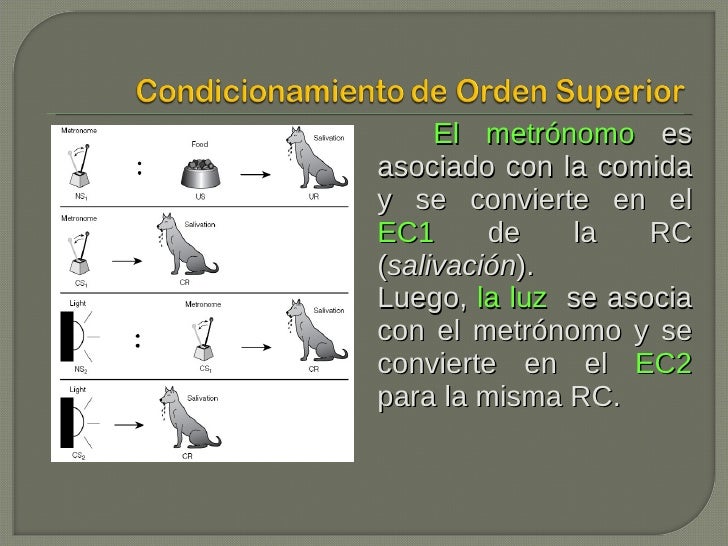 Condicionamiento Clásico
