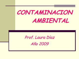 Prof. Laura Díaz Año 2009 CONTAMINACION   AMBIENTAL 