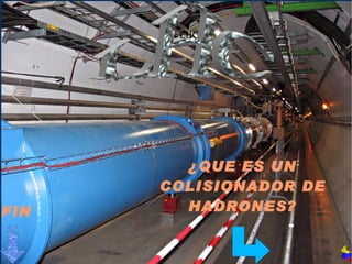 ¿QUE ES UN COLISIONADOR DE HADRONES? FIN LHC 