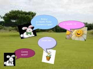 Bonjour Je mapelle: Rosita Comment tu t’apell? Je mapelle: Flor Comme savard? Savard bien