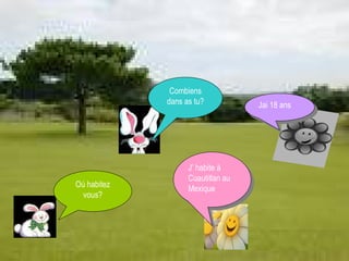 Combiens dans as tu? Jai 18 ans Oú habitez vous? J’ habite à Cuautitlan au Mexique