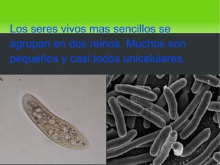 Los seres vivos mas sencillos se agrupan en dos reinos. Muchos son pequeños y casi todos unicelulares.