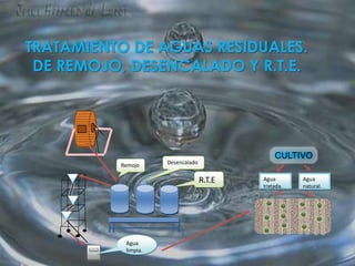 TRATAMIENTO DE AGUAS RESIDUALES.DE REMOJO, DESENCALADO Y R.T.E. CULTIVO Desencalado Remojo R.T.E Agua natural. Agua tratada. Agua limpia. 