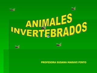 ANIMALES INVERTEBRADOS PROFESORA SUSANA MARAVI PINTO 