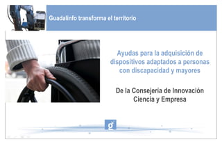 Próximos eventos de interés en Guadalinfo Guadalinfo transforma el territorio Ayudas para la adquisición de dispositivos adaptados a personas con discapacidad y mayores De la Consejería de Innovación Ciencia y Empresa 