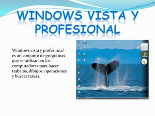 Windows vista y profesional Windows vista y profesional es un conjunto de programas que se utilizan en los computadores para hacer trabajos, dibujos, operaciones y buscar tareas.  