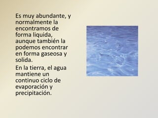     Es muy abundante, y normalmente la encontramos de forma liquida, aunque también la podemos encontrar en forma gaseosa y solida.    En la tierra, el agua mantiene un continuo ciclo de evaporación y precipitación.