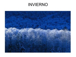 INVIERNO 