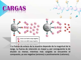  Se basa en la atracción entre iones del soluto y la carga complementaria de la fase estacionaria. Los intercambiadores iónicos favorecen la unión de iones de mayor carga y radio inferior. Cuando la retención de los compuestos se ve afectada, se favorece la elusión de ellos para ser recolectados en una serie de fracciones.pH Los intercambiadores iónicos se clasifican en ácidos o básicos, fuertes o débiles. 