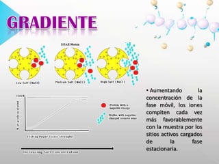  Los grupos muy básicos de amonio cuaternario siguen siendo catiónicos a cualquier valor de pH. Los básicos débiles de amonio terciario se desprotonan en disoluciones moderadamente básicas y pierden entonces su capacidad, reduciéndose también el tiempo de retención.CARGAS La fuerza de enlace de la muestra depende de la magnitud de la carga. La fuerza de retención es mayor y, por consiguiente la de elusión es menor, mientras más cargado se encuentre el compuesto, ya sea negativa (aniones) o positivamente (cationes). CARGAS Los iones polivalentes se unen con mayor fuerza a la fase estacionaria que los monovalentes.GRADIENTE Aumentando la concentración de la fase móvil, los iones compiten cada vez más favorablemente con la muestra por los sitios activos cargados de la fase estacionaria.poro grande (mayor de 600Å) poro pequeño (menor de 600Å) POROSIDAD En membranas cuyo tamaño de poro es pequeño no hay espacio suficiente para unir el ión dentro de dichos poros por lo que la cantidad de intercambiador por unidad de superficie es menor. 