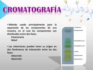 CROMATOGRAFÍA Método usado principalmente para la separación de los componentes de una muestra, en el cual los componentes son distribuidos entre dos fases:       Estacionaria       Móvil Las retenciones pueden tener su origen en dos fenómenos de interacción entre las dos fases:       Adsorción       Absorción