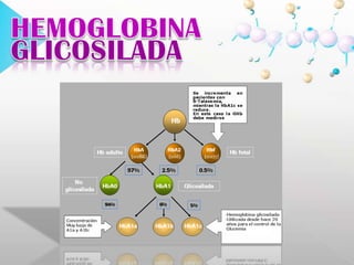  Como los eritrocitos son fácilmente permeables a la glucosa, el nivel de la HbA1 en una muestra de sangre facilita la historia glicémica de los 120 días anteriores, que corresponde a la vida media de estas células. HEMOGLOBINAGLICOSILADA