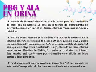  Cuando los pacientes con PAI presentan una crisis aguda, disminuye la actividad de la PBGD y, como consecuencia los niveles de BPG y/o ALA en la orina se incrementan significativamente.
