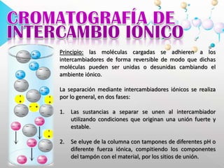 Fase Móvil: Disolución acuosa con cantidades moderadas de metanol u otro disolvente orgánico miscible con agua que contiene especies iónicas en forma, generalmente de buffer. Los iones de la fase móvil compiten con los analitos por los sitios activos de la fase estacionaria. CROMATOGRAFÍA DEINTERCAMBIO IÓNICOPrincipio: las moléculas cargadas se adhieren a los intercambiadores de forma reversible de modo que dichas moléculas pueden ser unidas o desunidas cambiando el ambiente iónico. La separación mediante intercambiadores iónicos se realiza por lo general, en dos fases: Las sustancias a separar se unen al intercambiador utilizando condiciones que originan una unión fuerte y estable.Se eluye de la columna con tampones de diferentes pH o diferente fuerza iónica, compitiendo los componentes del tampón con el material, por los sitios de unión.