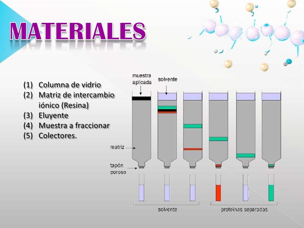 Cromatografia de intercambio ionico Cromatografia de intercambio ionico