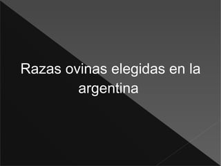 Razas ovinas elegidas en la argentina  