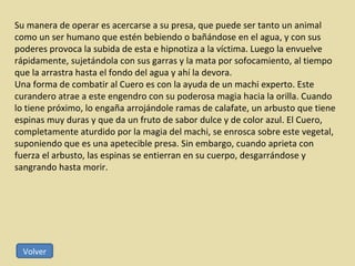 Su manera de operar es acercarse a su presa, que puede ser tanto un animal como un ser humano que estén bebiendo o bañándose en el agua, y con sus poderes provoca la subida de esta e hipnotiza a la víctima. Luego la envuelve rápidamente, sujetándola con sus garras y la mata por sofocamiento, al tiempo que la arrastra hasta el fondo del agua y ahí la devora. Una forma de combatir al Cuero es con la ayuda de un machi experto. Este curandero atrae a este engendro con su poderosa magia hacia la orilla. Cuando lo tiene próximo, lo engaña arrojándole ramas de calafate, un arbusto que tiene espinas muy duras y que da un fruto de sabor dulce y de color azul. El Cuero, completamente aturdido por la magia del machi, se enrosca sobre este vegetal, suponiendo que es una apetecible presa. Sin embargo, cuando aprieta con fuerza el arbusto, las espinas se entierran en su cuerpo, desgarrándose y sangrando hasta morir. Volver 