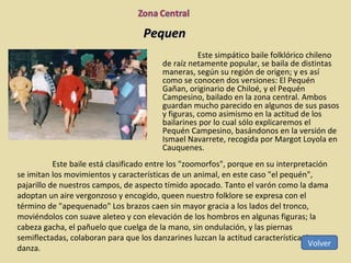 Pequen Este simpático baile folklórico chileno de raíz netamente popular, se baila de distintas maneras, según su región de origen; y es así como se conocen dos versiones: El Pequén Gañan, originario de Chiloé, y el Pequén Campesino, bailado en la zona central. Ambos guardan mucho parecido en algunos de sus pasos y figuras, como asimismo en la actitud de los bailarines por lo cual sólo explicaremos el Pequén Campesino, basándonos en la versión de Ismael Navarrete, recogida por Margot Loyola en Cauquenes. Este baile está clasificado entre los "zoomorfos", porque en su interpretación se imitan los movimientos y características de un animal, en este caso "el pequén", pajarillo de nuestros campos, de aspecto tímido apocado. Tanto el varón como la dama adoptan un aire vergonzoso y encogido, queen nuestro folklore se expresa con el término de "apequenado" Los brazos caen sin mayor gracia a los lados del tronco, moviéndolos con suave aleteo y con elevación de los hombros en algunas figuras; la cabeza gacha, el pañuelo que cuelga de la mano, sin ondulación, y las piernas semiflectadas, colaboran para que los danzarines luzcan la actitud característica de esta danza. Volver 