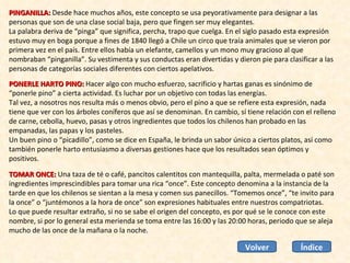 PINGANILLA:  Desde hace muchos años, este concepto se usa peyorativamente para designar a las personas que son de una clase social baja, pero que fingen ser muy elegantes. La palabra deriva de “pinga” que significa, percha, trapo que cuelga. En el siglo pasado esta expresión estuvo muy en boga porque a fines de 1840 llegó a Chile un circo que traía animales que se vieron por primera vez en el país. Entre ellos había un elefante, camellos y un mono muy gracioso al que nombraban “pinganilla”. Su vestimenta y sus conductas eran divertidas y dieron pie para clasificar a las personas de categorías sociales diferentes con ciertos apelativos. PONERLE HARTO PINO:  Hacer algo con mucho esfuerzo, sacrificio y hartas ganas es sinónimo de “ponerle pino” a cierta actividad. Es luchar por un objetivo con todas las energías.  Tal vez, a nosotros nos resulta más o menos obvio, pero el pino a que se refiere esta expresión, nada tiene que ver con los árboles coníferos que así se denominan. En cambio, sí tiene relación con el relleno de carne, cebolla, huevo, pasas y otros ingredientes que todos los chilenos han probado en las empanadas, las papas y los pasteles. Un buen pino o “picadillo”, como se dice en España, le brinda un sabor único a ciertos platos, así como también ponerle harto entusiasmo a diversas gestiones hace que los resultados sean óptimos y positivos. TOMAR ONCE:  Una taza de té o café, pancitos calentitos con mantequilla, palta, mermelada o paté son ingredientes imprescindibles para tomar una rica “once”. Este concepto denomina a la instancia de la tarde en que los chilenos se sientan a la mesa y comen sus panecillos. “Tomemos once”, “te invito para la once” o “juntémonos a la hora de once” son expresiones habituales entre nuestros compatriotas.  Lo que puede resultar extraño, si no se sabe el origen del concepto, es por qué se le conoce con este nombre, si por lo general esta merienda se toma entre las 16:00 y las 20:00 horas, periodo que se aleja mucho de las once de la mañana o la noche.  Índice Volver 
