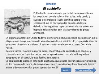 El cuchivilu El Cuchivilu pasa la mayor parte del tiempo oculto en las cuevas en donde habita. Con cabeza de cerdo y cuerpo de serpiente (cuchi significa cerdo y vilu, serpiente), no es muy popular para los chilotes, debido a las negativas repercusiones de sus actos, en especial relacionados con las actividades de pesca artesanal. En algunos lugares de Chiloé todavía existe una antiguo método para pescar. En la playa se construye un cerco de varas formando un semicírculo, cuya parte abierta queda en dirección a la tierra. A esta estructura se le conoce como Corral de Pesca. De esta forma, cuando la marea sube, el corral queda cubierto por el agua, y cuando la marea baja, los peces que se aproximaron hasta la orilla quedan atrapados en el corral, lo que facilita su captura. Es aquí cuando aparece el temido Cuchivilu, pues suele entrar cada cierto tiempo en los corrales de pesca, destruyendo el cerco, moviendo y levantando la tierra o arena y devorando a los peces apresados en él. Continuación… Volver 