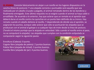 EL RODEO:  Consiste básicamente en atajar a un novillo en los lugares dispuestos en la cancha (línea de postura). Y una atajada correcta o puntuable será aquella que sea realizada por el caballo cruzado y pegado, el animal rematado dentro de las banderas y finalmente entregado. Este último requisito no se exigirá cuando el animal se haya caído o arrodillado. De acuerdo a lo anterior, hay que aclarar que un remate es el apretón que deberá darse al novillo contra las quinchas en un punto bien definido de su tronco. Hay remate cuando el caballo detiene al novillo. Y dependiendo de dónde sea el apretón, se asignarán los puntos, aunque cabe aclarar que sólo se puntuarán las atajadas que se produzcan con el animal al galope o a cualquier tipo de trote desde la línea de postura. (Tendrá el mismo puntaje que la atajada en velocidad. Sólo cuando el novillo entre al paso, no se computará la atajada). Las atajadas que cumplan con la condición estipulada se computarán según la siguiente pauta: Envoltura (Cabeza): 0 punto. Cogote libre (atajada de paleta): 2 puntos buenos. Paleta libre (atajada de mitad): 3 puntos buenos. Costilla libre (atajada de ijar): 4 puntos buenos. VOLVER 