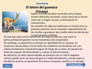 El tótem del guanaco (Yestay) Sobre el Yestay (también conocido como Yastay) existen diferentes versiones, tanto acerca de su forma como de su origen, las que a continuación te mostraremos. De acuerdo con algunas tradiciones, el Yestay sería un guanaco protector de las manadas, especialmente de las vicuñas y guanacos, que resalta sobre los demás por su gran tamaño y belleza.  Se cree que este animal sería el jefe de todos los demás y que tiene la particularidad de aparecer en los momentos más inesperados. Sin embargo, su apariencia no siempre es agradable de ver, porque, en ocasiones, desata toda su furia contra los cazadores mostrándose con una cabeza de demonio y lanzando lenguas de fuego por su boca. Ni siquiera las balas son capaces de derrumbarlo y, menos, la fuerza humana.  No obstante, en otras oportunidades se presenta con un rostro angelical. Incluso, puede hacer las veces de guía en medio del desierto, cuando capta la bondad en quienes se aproximan de manera tranquila y pacífica a la manada. Continuación… Volver 