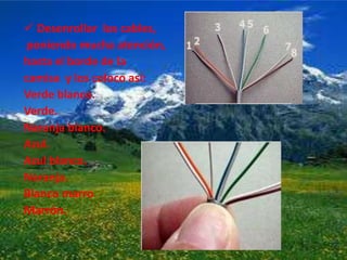 Desenrollar  los cables,poniendo mucha atención, hasta el borde de la camisa  y los coloco así:Verde blanco.Verde.Naranja blanco.Azul.Azul blanco.Naranja.Blanco marroMarrón.