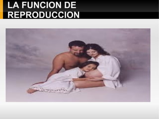 LA FUNCION DE
REPRODUCCION
 