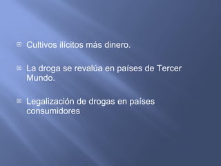 Cultivos ilícitos más dinero. La droga se revalúa en países de Tercer Mundo. Legalización de drogas en países consumidores 