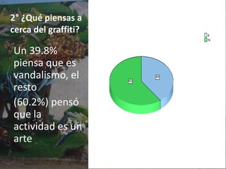1° ¿Se ha mostrado afectado por el graffiti? las encuestas muestran las personas q se han mostrado afectadas por el graffiti han sido un 43.14%, mientras que un 56.86% no se queja por este problema.