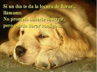 BibliografíaDíaz,  Daniel.  (2009)  Graffitis: ¿arte o vandalismo callejero?.http://blogs.20minutos.es/nilibreniocupado/2009/09/16/graffitis-aaarte-o-vandalismo-callejero/. Accesada: 22 de febrero de 2011 El Siglo de Torreón.   (2005).  Graffiti, ¿arte o vandalismo?.   http://www.elsiglodetorreon.com.mx/noticia/162771.graffiti-arte-o-vandalismo.html.  Accesada: 22 de febrero de 2011 Méndez,  Jorge.  (2002).  Graffiti.    http://www.valladolidwebmusical.org/graffiti/historia/01intro.html.Accesada: 22 de febrero de 2011