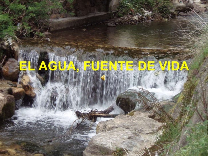 El agua, fuente de vida