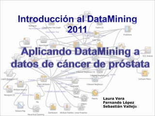 Introducción al DataMining 2011 AplicandoDataMining a datos de cáncer de próstata Laura Vera Fernando López Sebastián Vallejo 