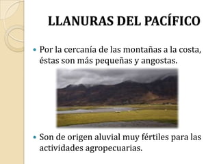 LLANURAS DEL PACÍFICOPor la cercanía de las montañas a la costa, éstas son más pequeñas y angostas.Son de origen aluvial muy fértiles para las actividades agropecuarias. 
