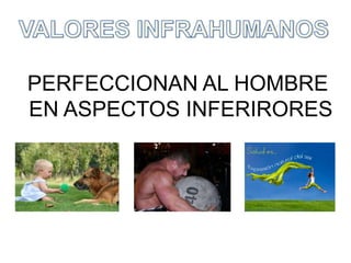 VALORES INFRAHUMANOSPERFECCIONAN AL HOMBRE EN ASPECTOS INFERIRORES