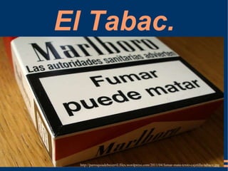 [object Object],El Tabac. 