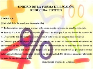 UNIDAD DE LA FORMA DE ESCALÓN REDUCIDA: PIVOTES RESOLUCIÓN DE EJEMPLOS EN LA PIZARRA 