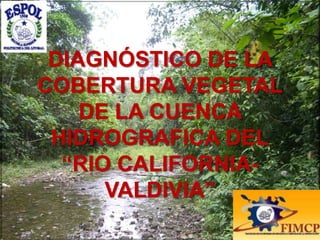DIAGNÓSTICO DE LA
COBERTURA VEGETAL
    DE LA CUENCA
 HIDROGRAFICA DEL
  “RIO CALIFORNIA-
      VALDIVIA”
 